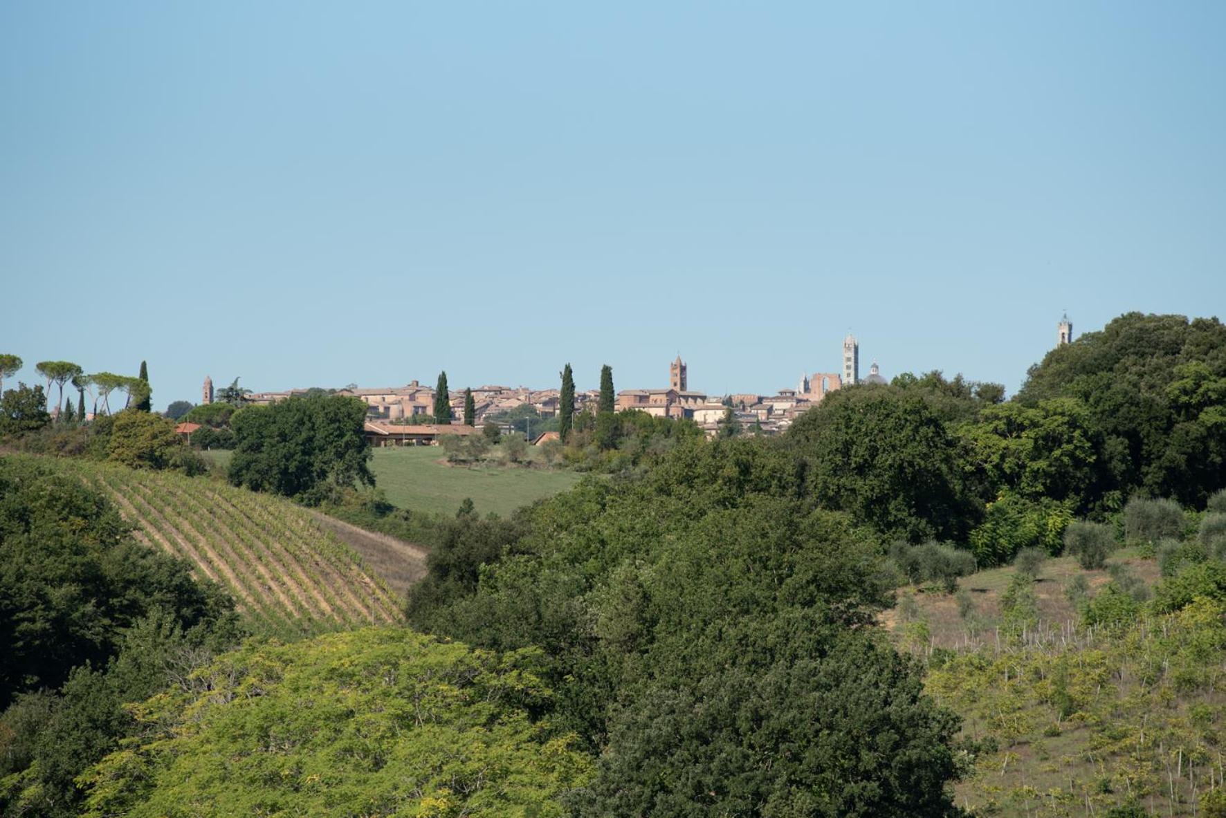 Agriturismo Il Colle Siena Buitenkant foto