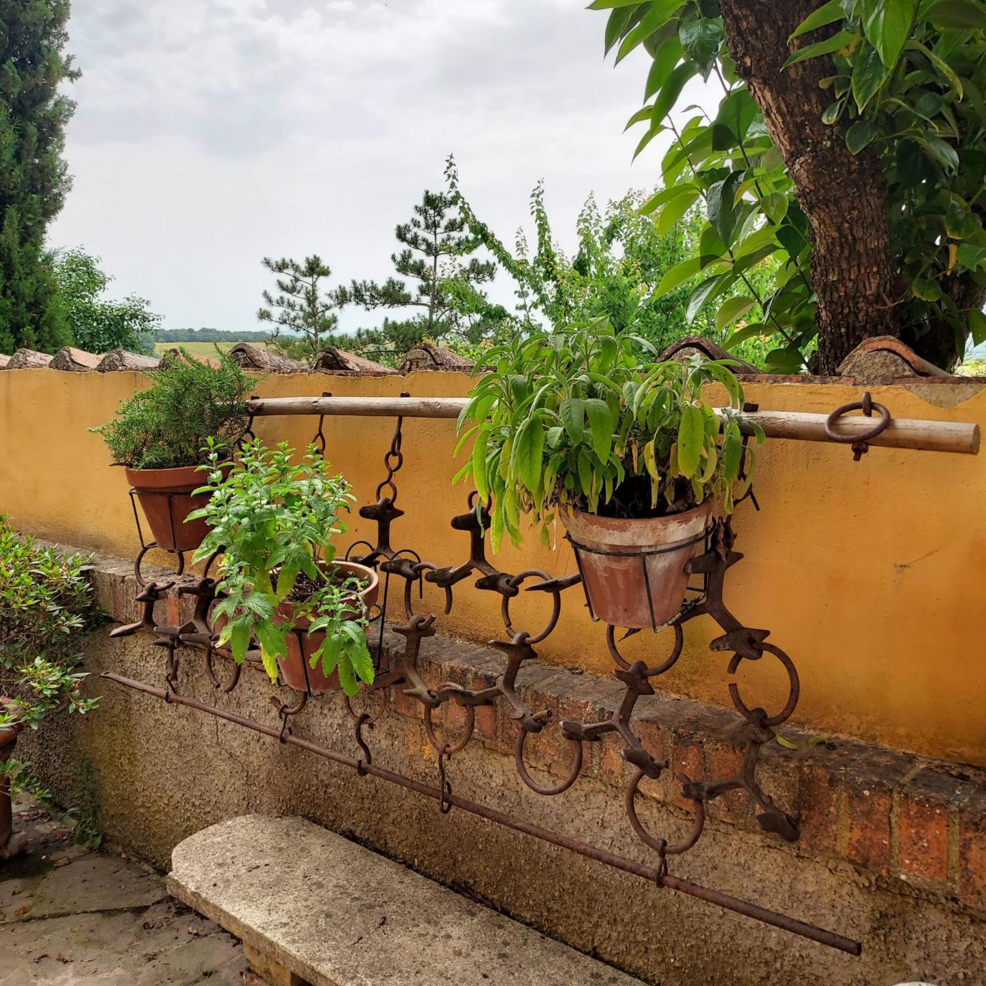 Agriturismo Il Colle Siena Buitenkant foto
