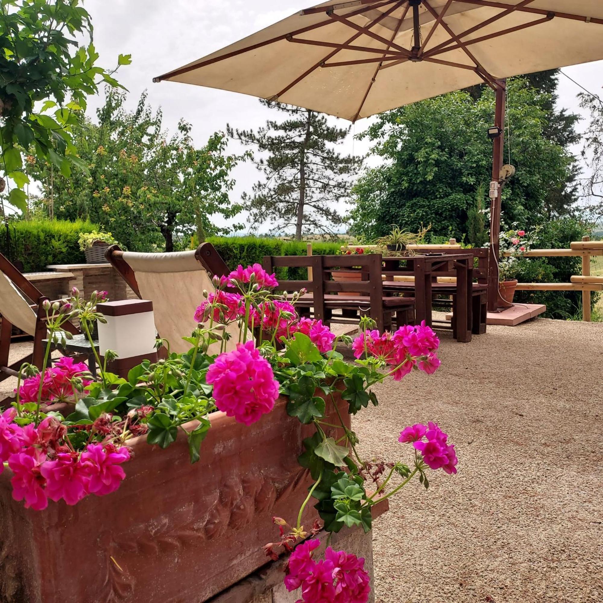 Agriturismo Il Colle Siena Buitenkant foto