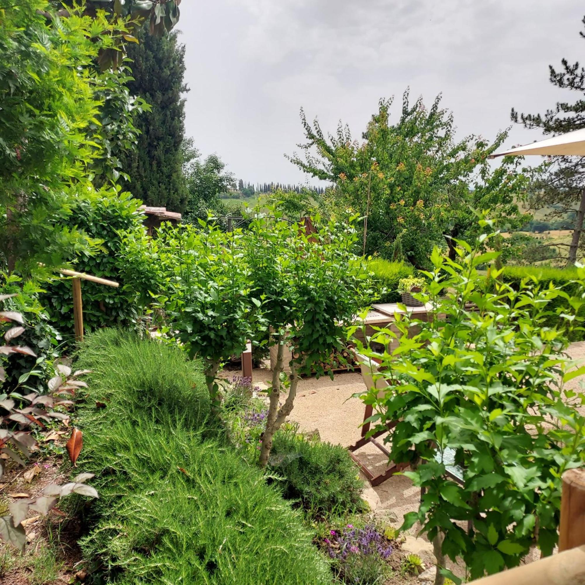 Agriturismo Il Colle Siena Buitenkant foto