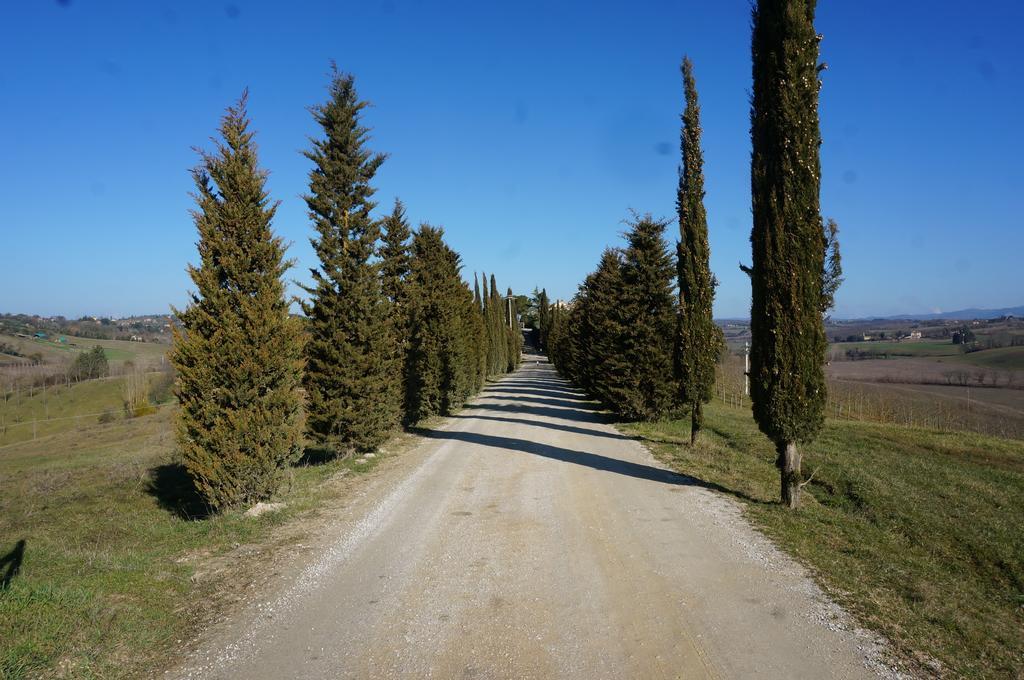 Agriturismo Il Colle Siena Buitenkant foto