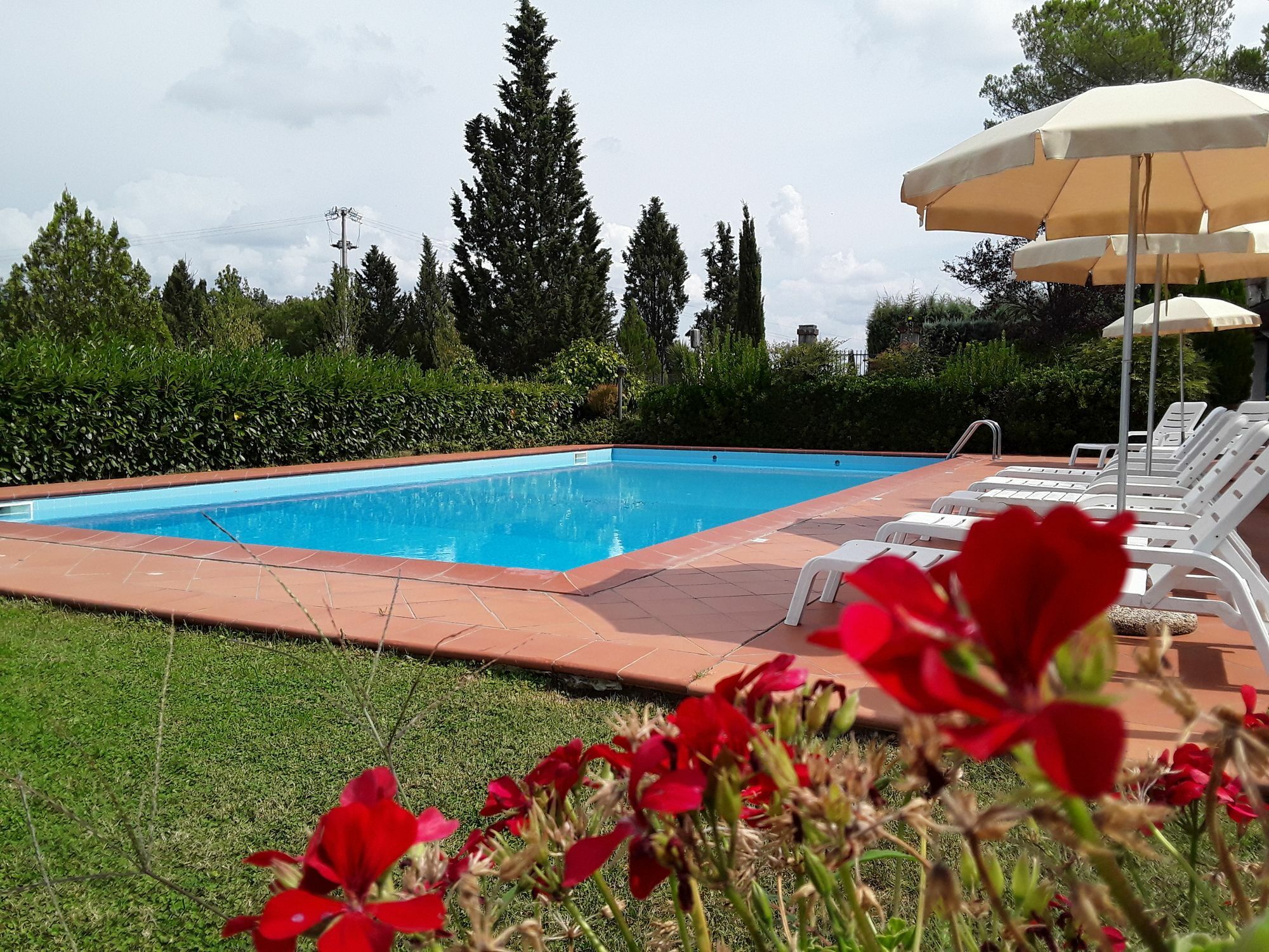 Agriturismo Il Colle Siena Buitenkant foto